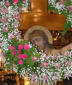 Rosen und Dornen